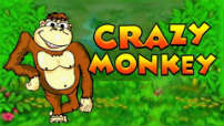 crazy_monkey