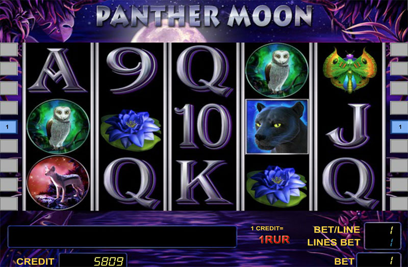 panther_moon
